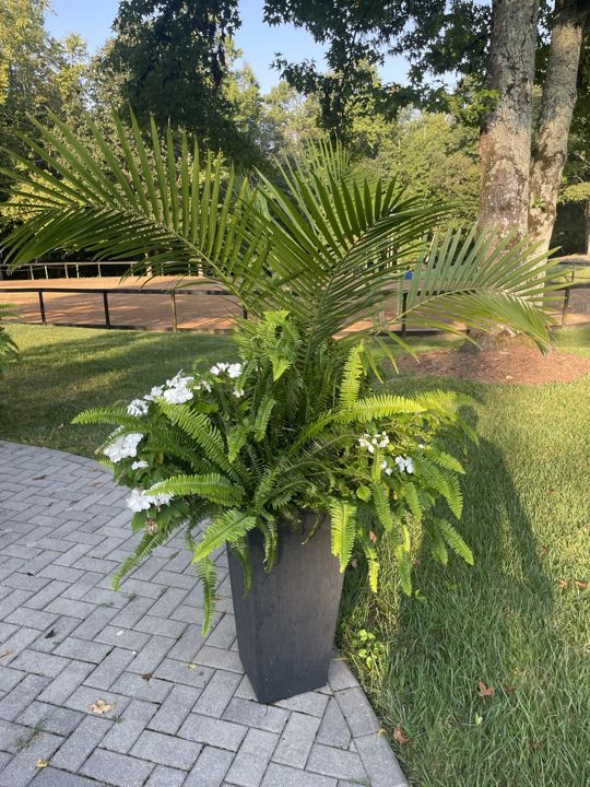 Container & Seasonal Plantings project photo 9