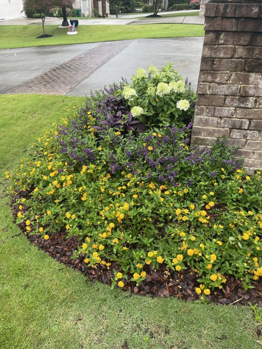 Landscape Design & Plantings project photo 11