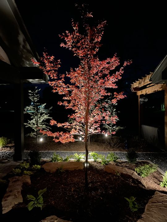 Landscape Lighting project photo 3