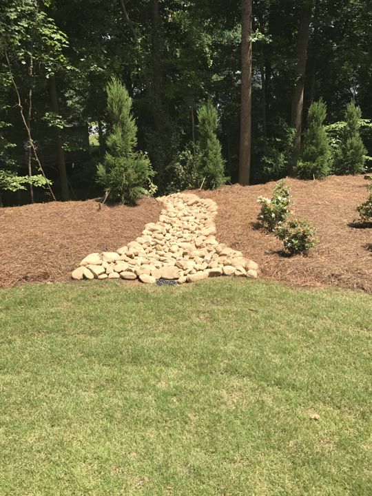 Sod & Lawn Installation project photo 1