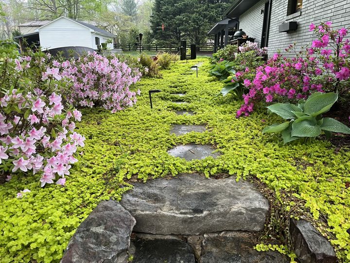 Stone Steps & Stairs project photo 3